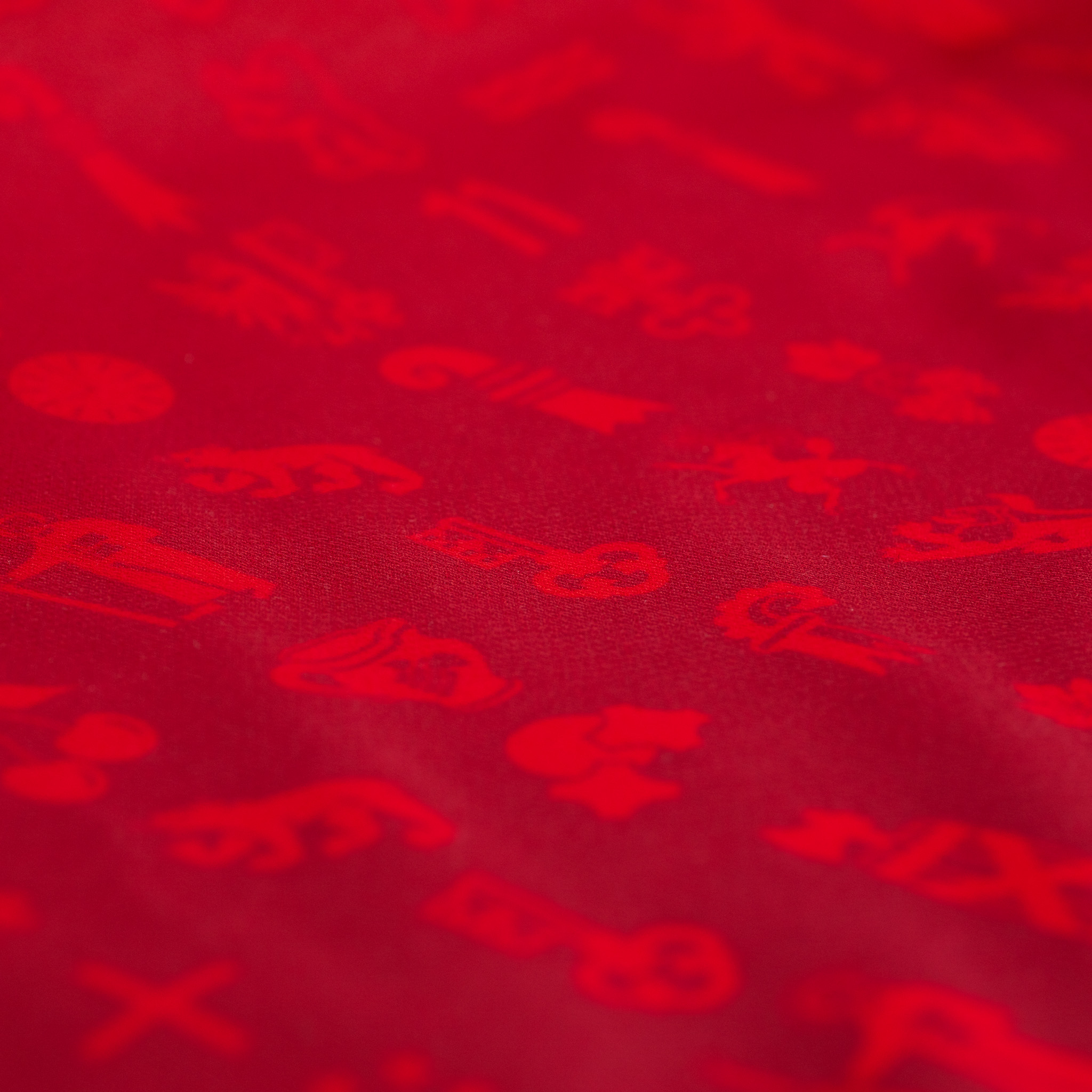 Muster mit Kantonssymbolen auf Hopp Schwiiz Trikot